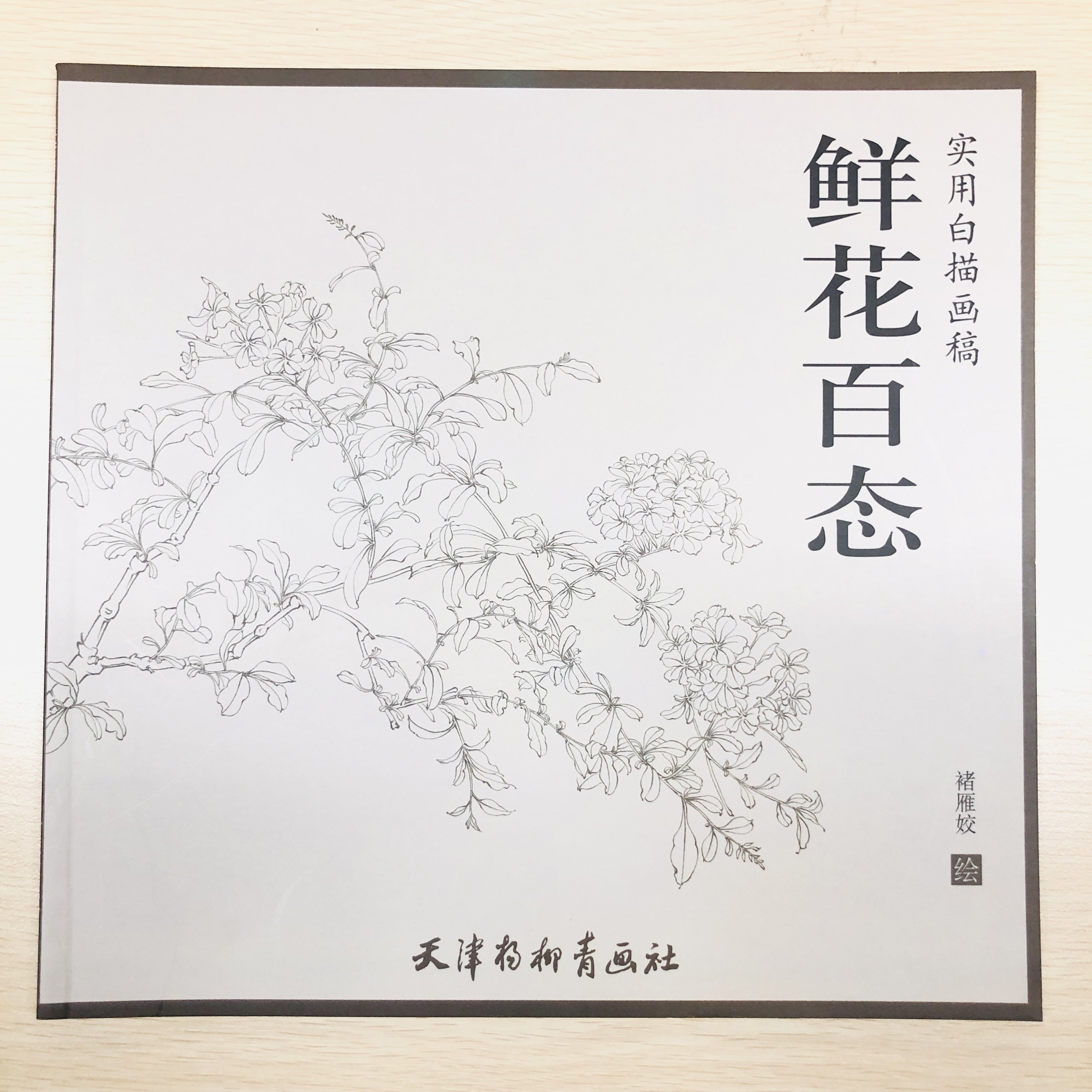 Chinese Painting Techniques Book for Beginners with Fresh Flowers Calligraphy Still Life Art Photography in Simplified Chinese