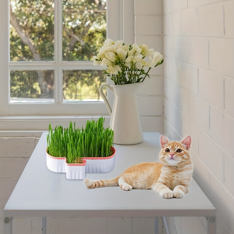 Double-Layer Detachable Cat Grass Growing Kit Reusable Hydroponic Sprouting Tray