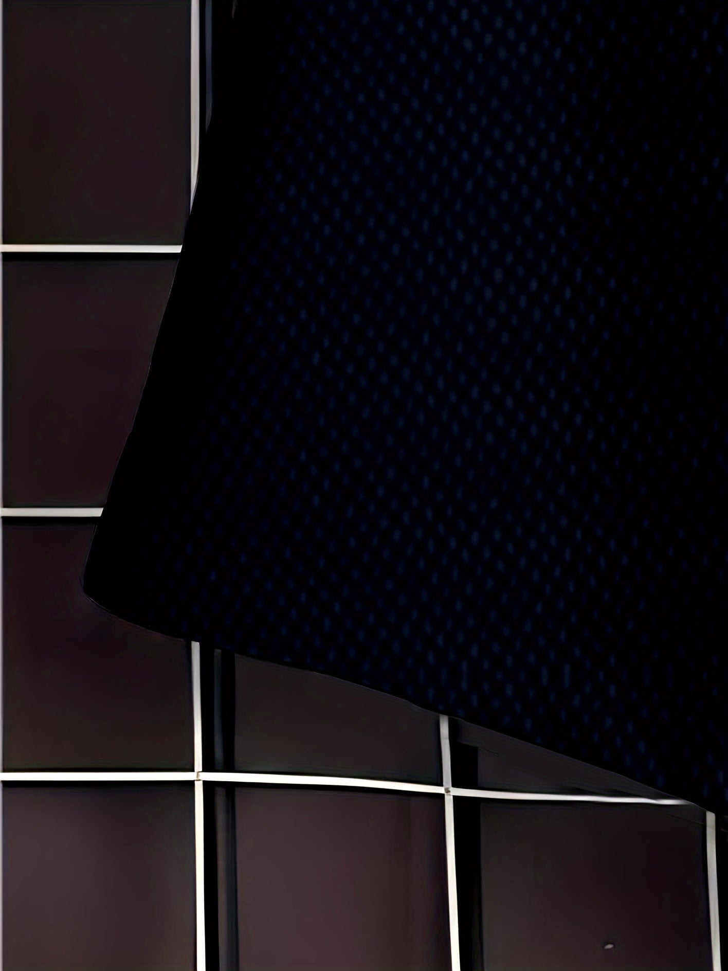 Men's Plus Size Dragon Print Beach Shorts Quick-Dry Elastic Waist Polyester