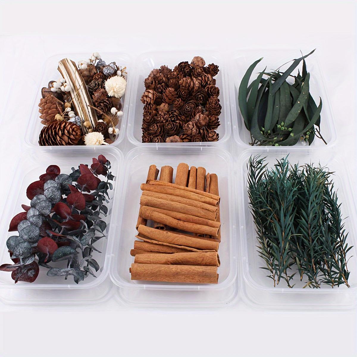 Бохо-Шик Рождественский Набор для Ремесел: Натуральный Растительный Декор для DIY Проектов, Венков и Подарков