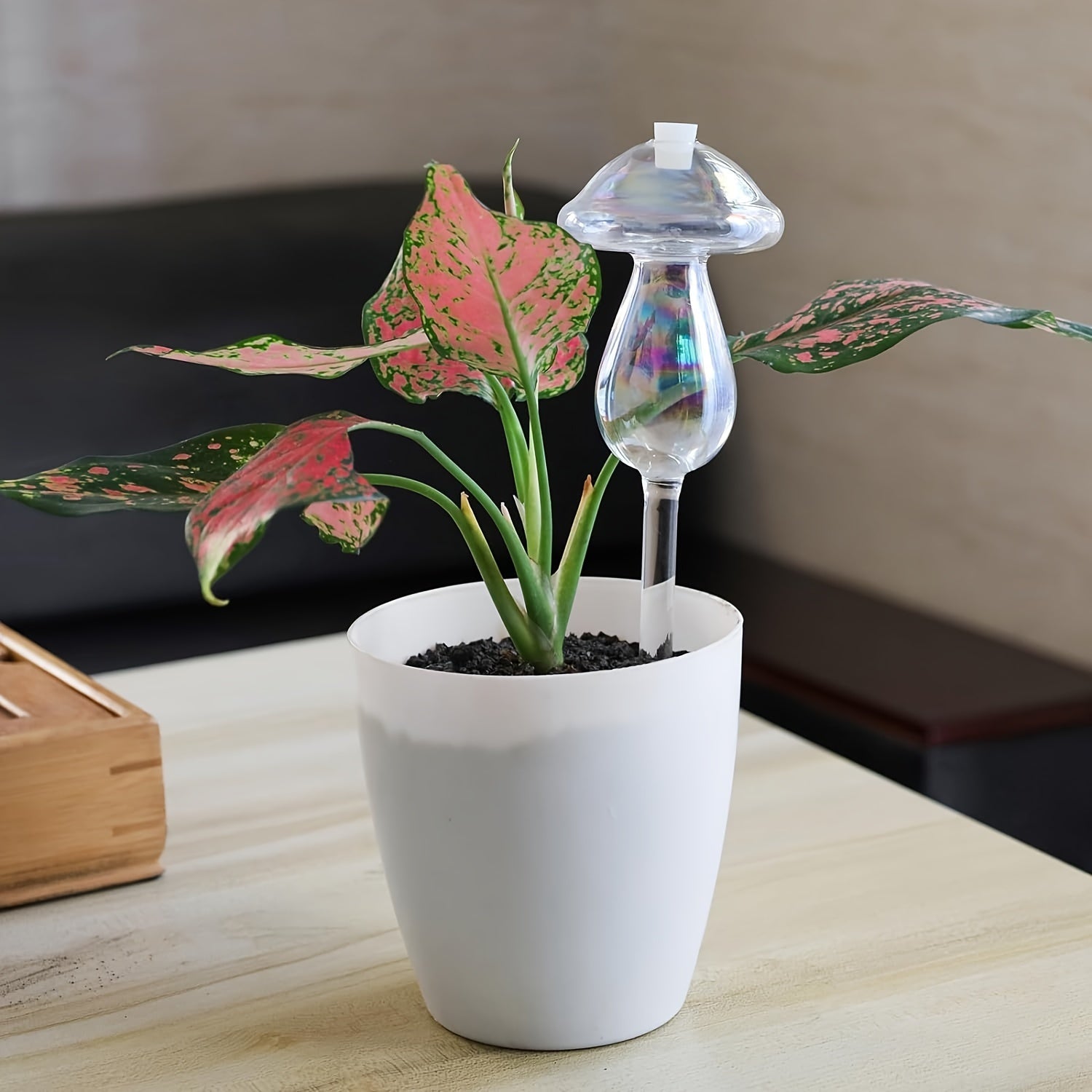 4-упаковка лейки для полива грибов с автоматическим капельным орошением из стекла для садов.