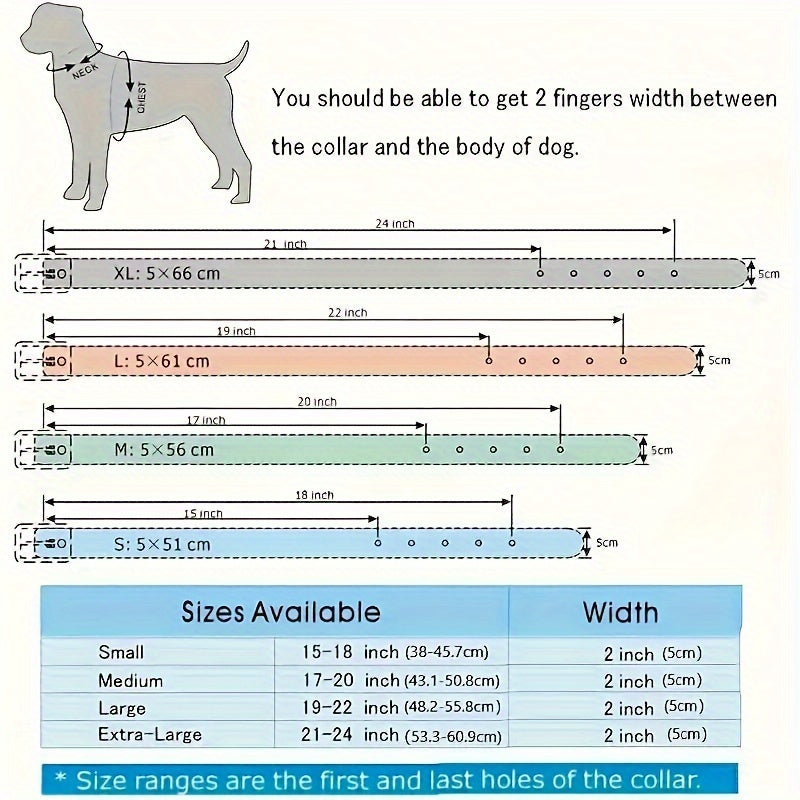 Leather Spiked Dog Collar with Bullet Rivets and Skull Design for Medium and Large Dogs