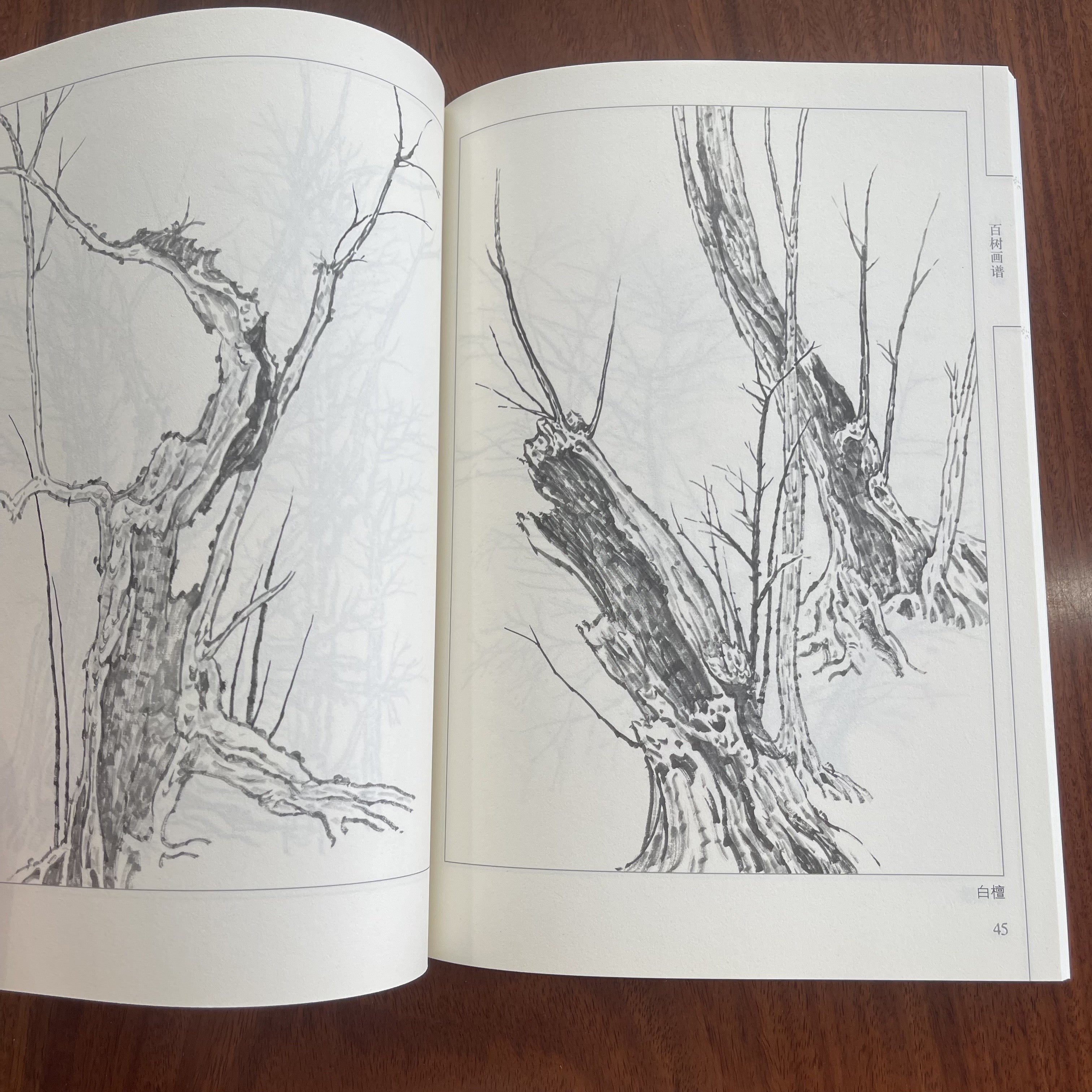Chinese Ink Drawing Book of 100 Tree Line Art for Children Paperback