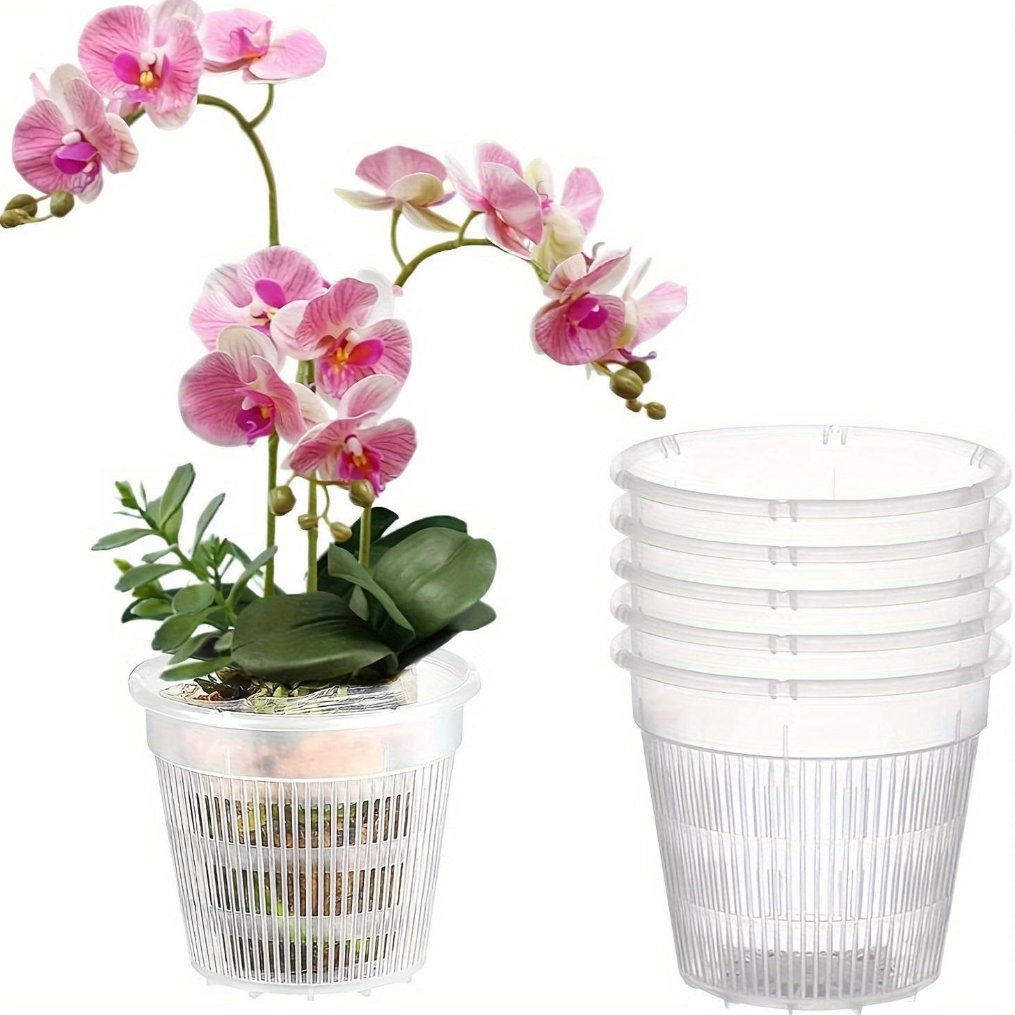 Set of 5 Transparent Plastic Orchid Pots with Drainage Holes and Slotted Design for Indoor and Outdoor Use