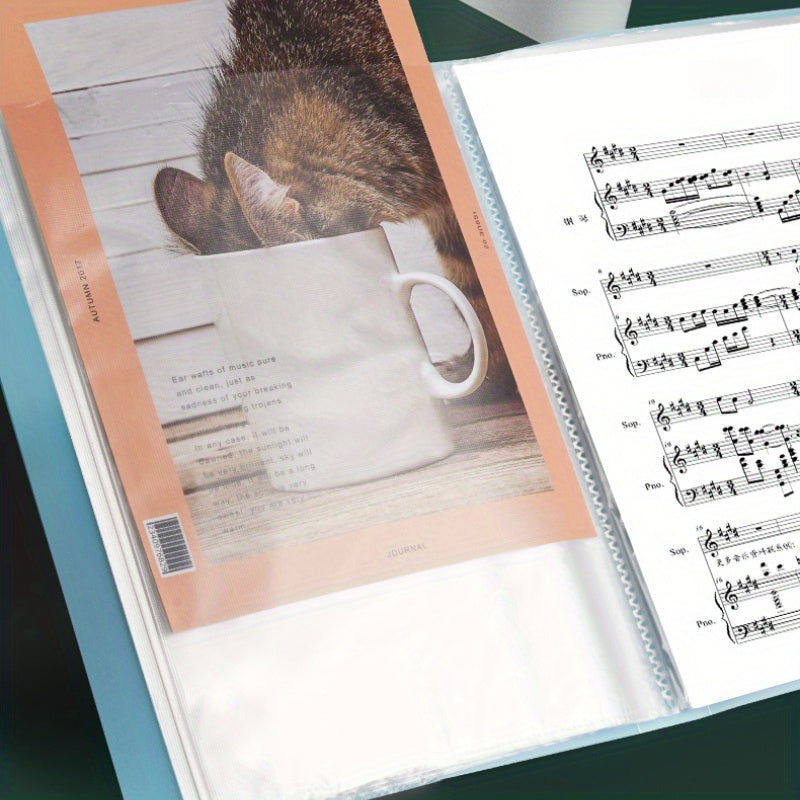 A4 Transparent PP Plastic File Folders Set for Office Art and Photo Storage