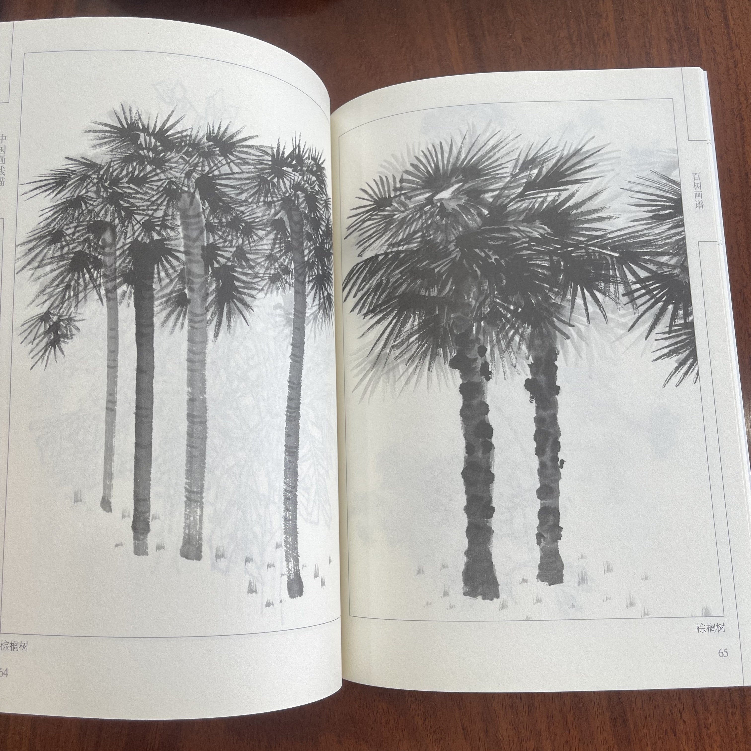 Chinese Ink Drawing Book of 100 Tree Line Art for Children Paperback