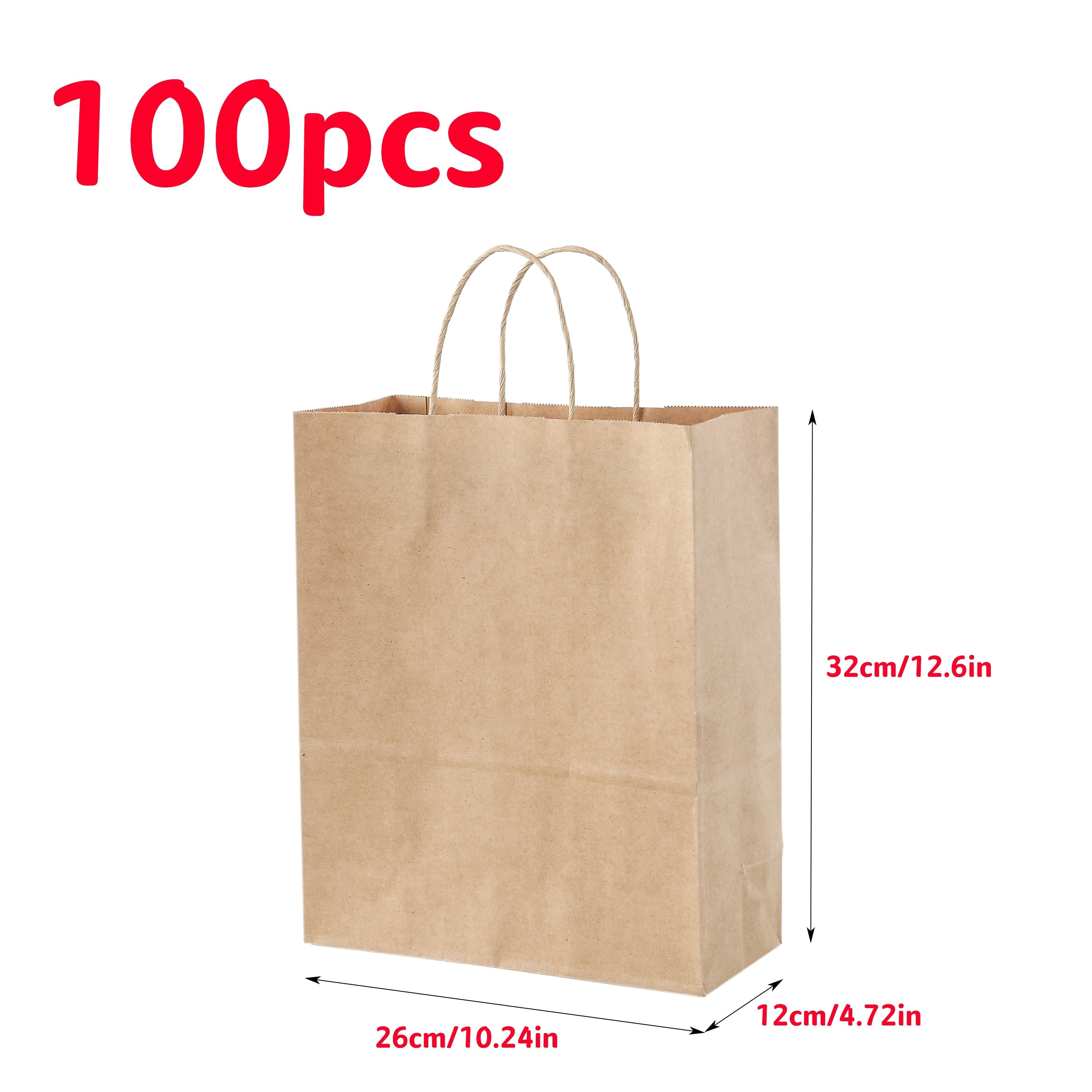 100pcs Brown Kraft Paper Bags with Twine Handles for Shopping and Gifts