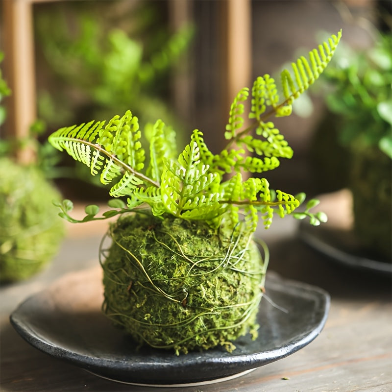 Round Clay Moss Plant Container for Air Plants Succulents Indoor Outdoor