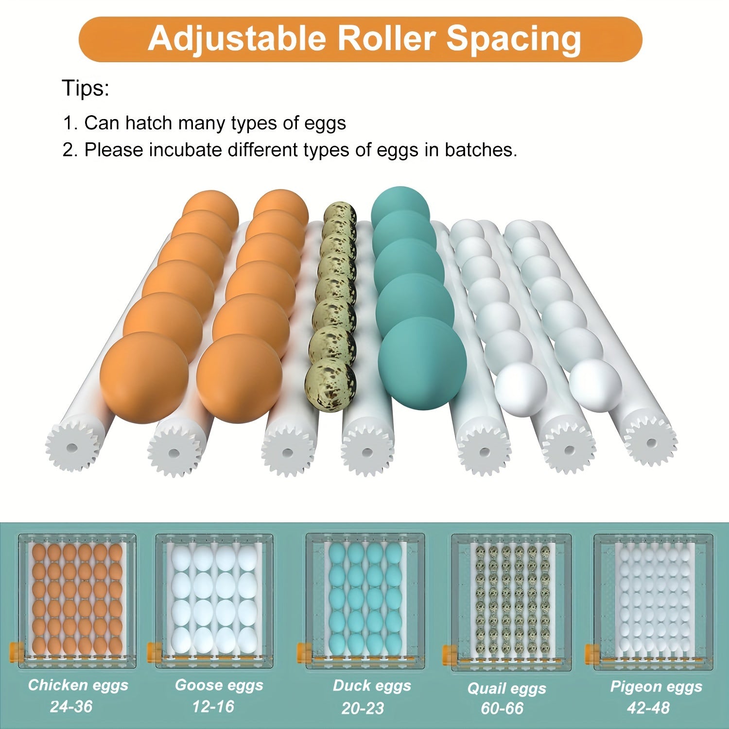 LED displey bilan avtomatik tuxum inkubator, 36 ta tuxumni sig'adi, namlik va harorat nazorati, apelsin rang