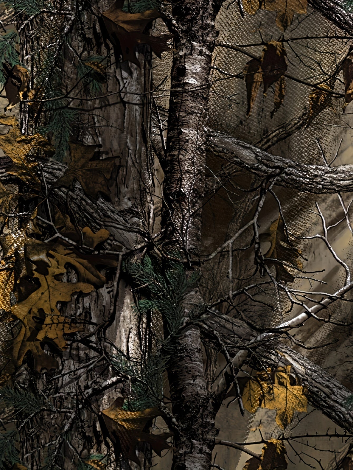 Large Size Casual 3D Digital Print Hoodie and Pants Suit Polyester