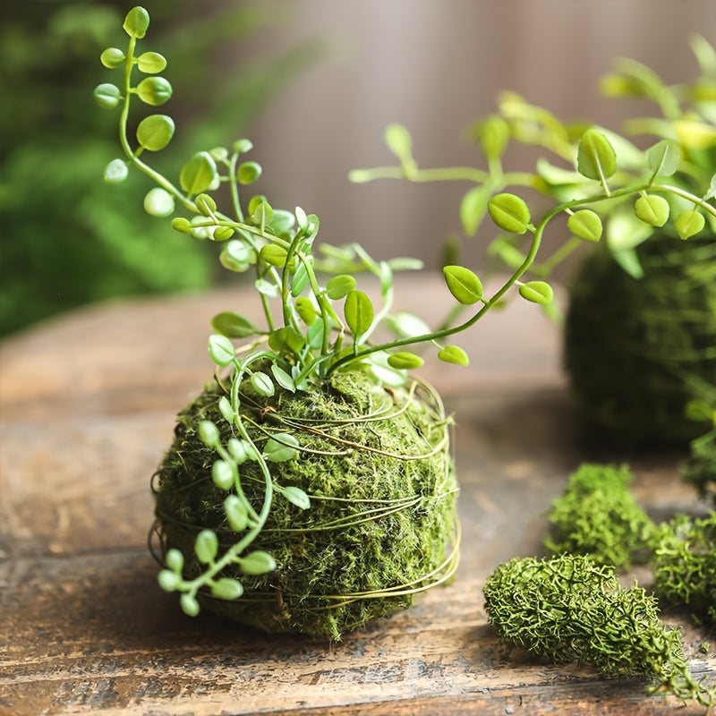 Round Clay Moss Plant Container for Air Plants Succulents Indoor Outdoor