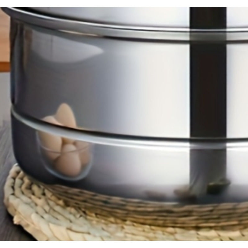 3-Tier Stainless Steel Steamer Pot with Lid for Vegetables Dumplings Soups