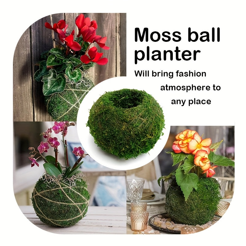 Round Clay Moss Plant Container for Air Plants Succulents Indoor Outdoor