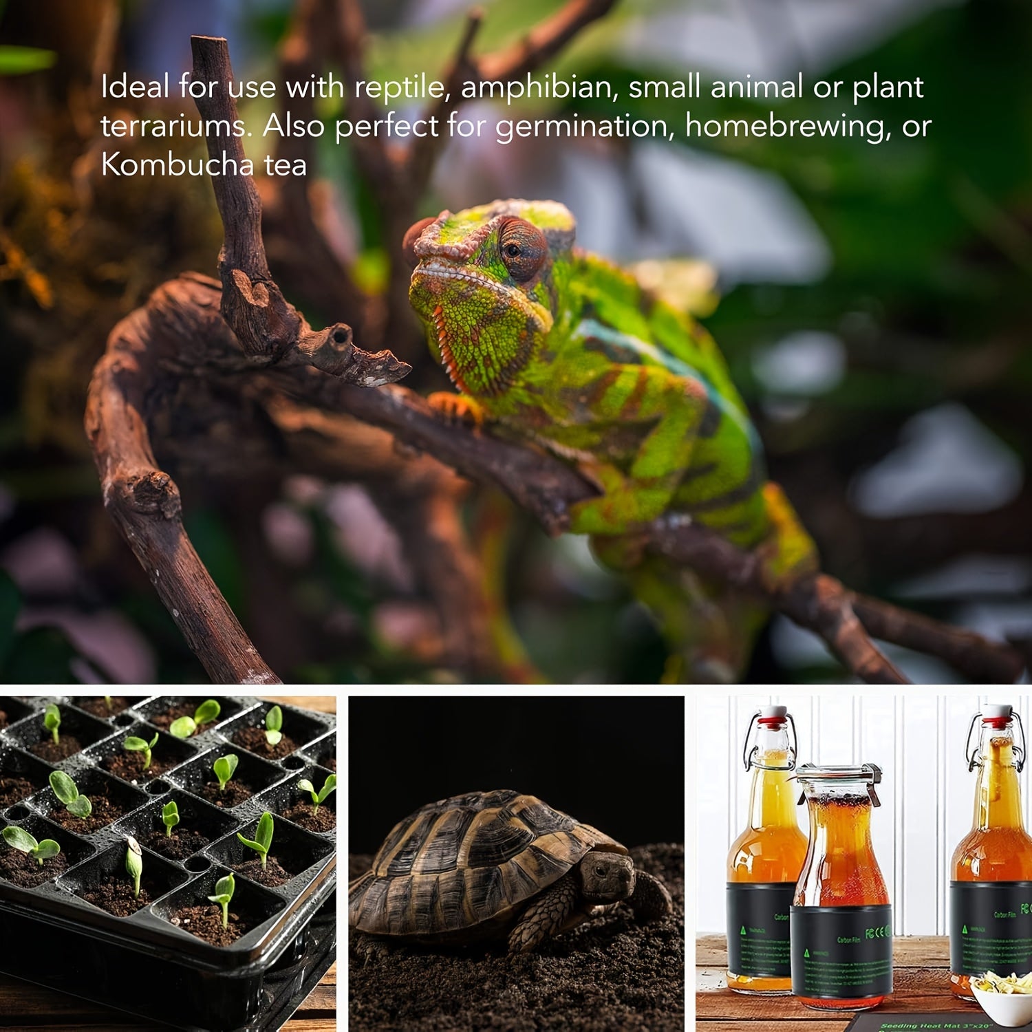 Alfombra de calor para plántulas negra para jardinería interior, invernadero, hábitat de reptiles, 220V enchufe europeo