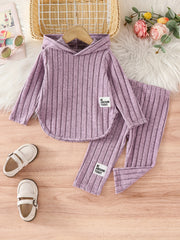 Baby Girls Outfit Spring Fall Striped Polyester Knit Top and Pants