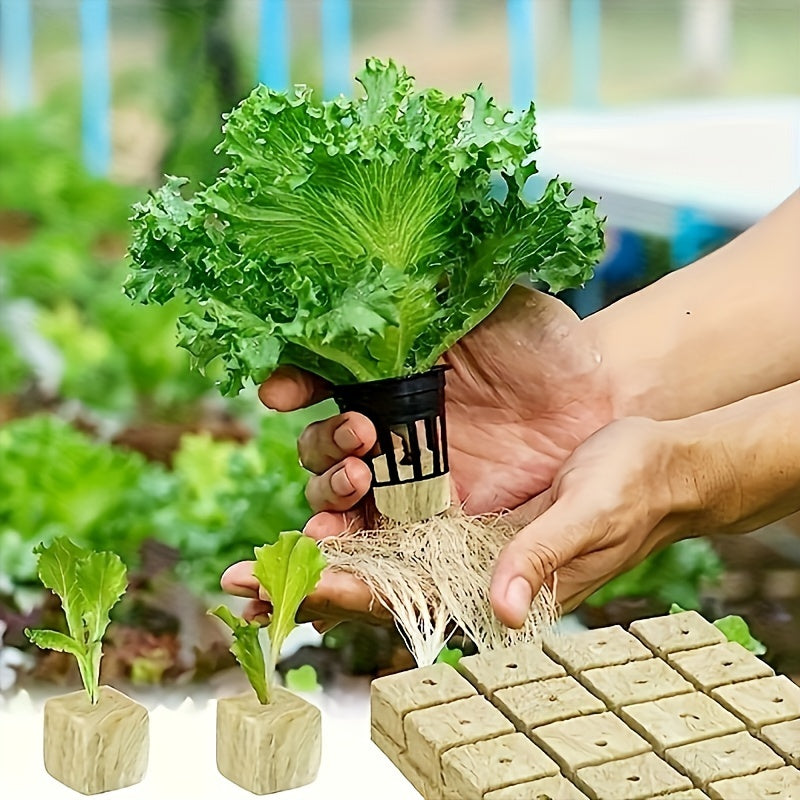 50/100 Pcs Hydroponic Rock Wool Plant Seedling Growing Medium for Cultivation