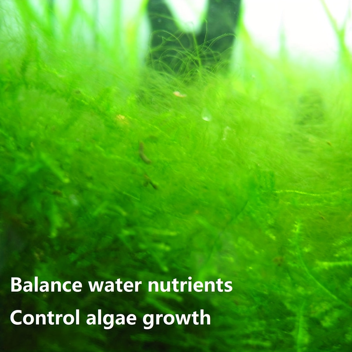 Aquarium Filtration Resin for Freshwater and Saltwater Tanks 100ml Tannin and Waste Removal