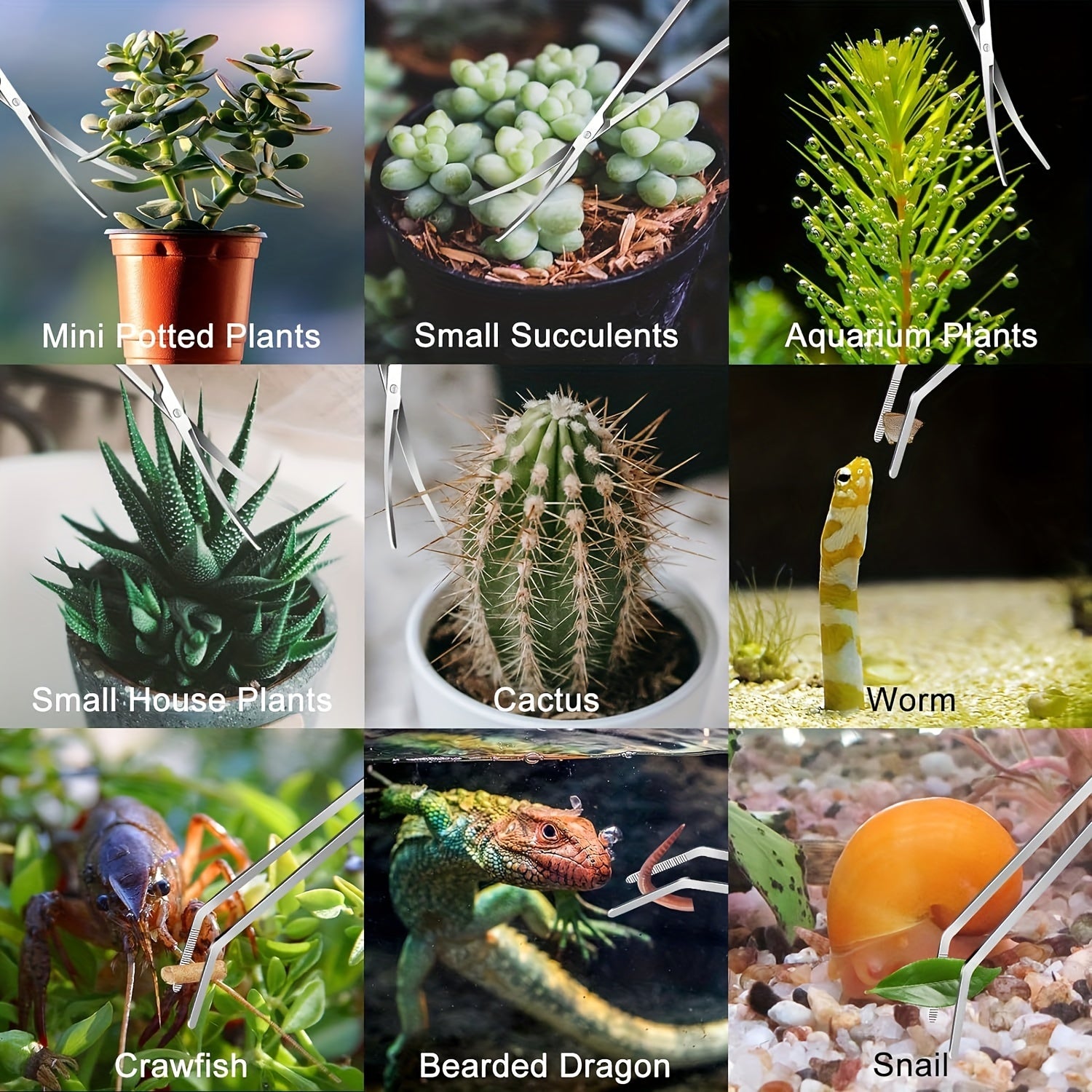 Aquarium Landscaping Tools Set Including Long Tweezers Scissors Spatula for Fish Tanks and Aquascaping