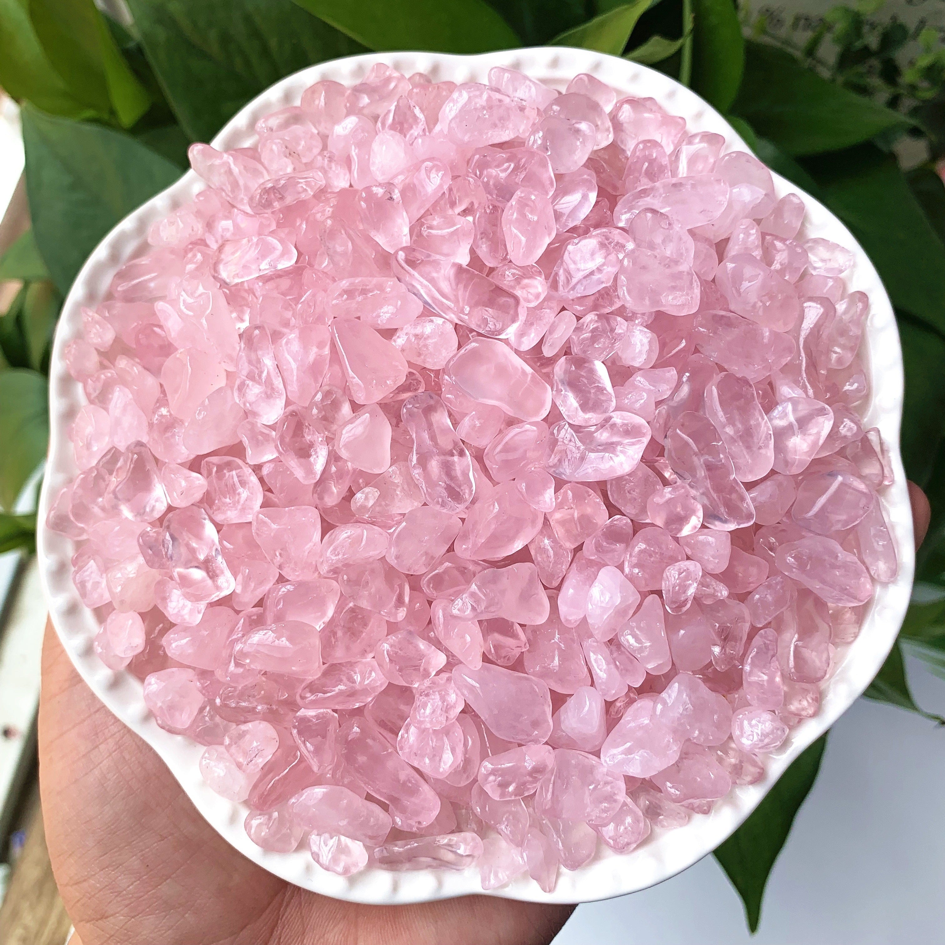 Natural Rose Quartz Chips 50g 100g for Healing and Decoration in Plants and Terrariums