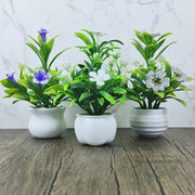 3 ta mini sun'iy qozon o'simliklar to'plami, uy bezatish uchun oq qozonlar bilan. Turli tadbirlar uchun yashash xonasi, ofis stoli yoki bayram stol bezatish uchun mukammal.