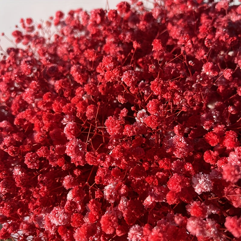 Коробка из 30 сохранившихся цветов для DIY-проектов, включая рамку для фотографий, плавающие цветочные материалы, свечи и тисненые цветы.