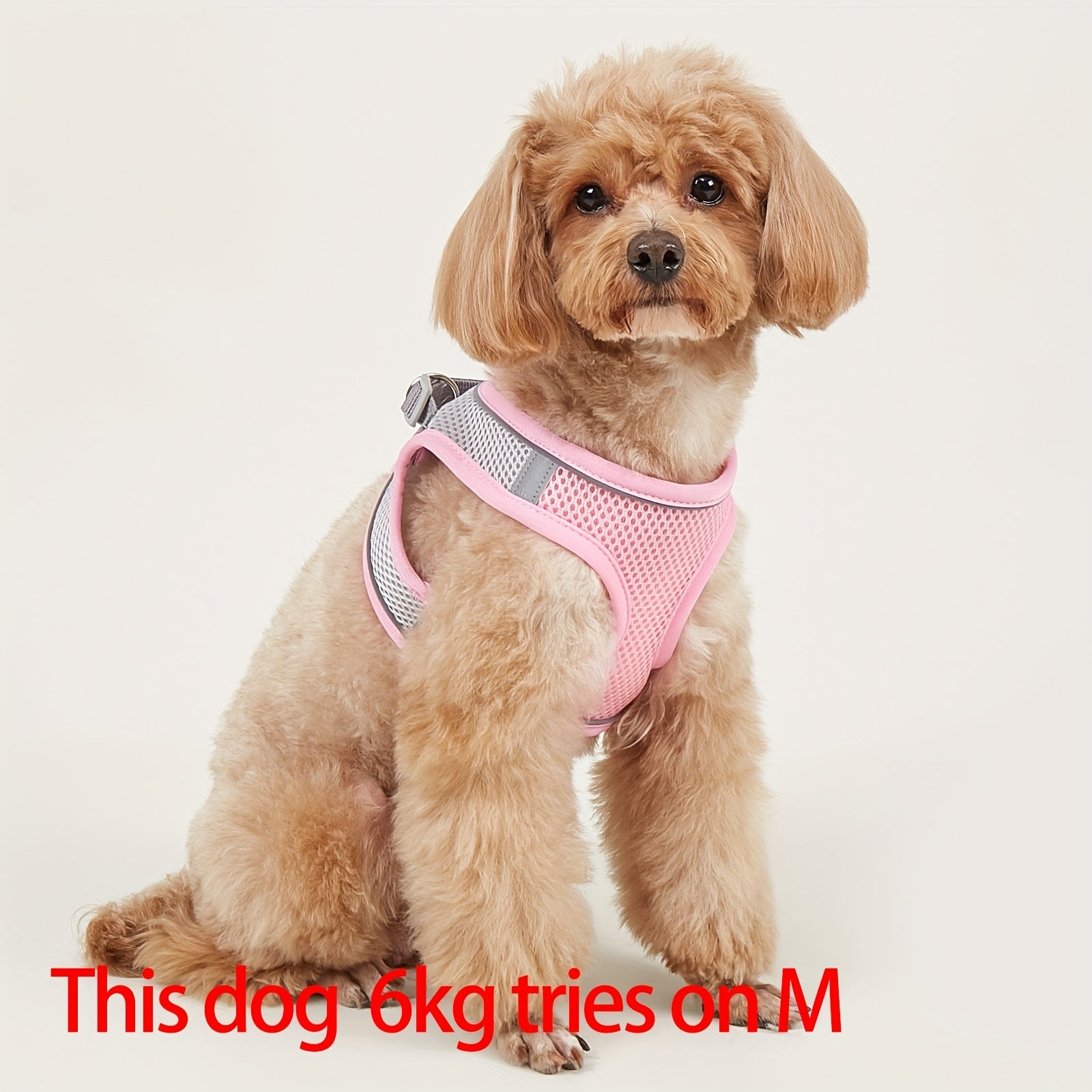 Soft Mesh Pet Harness for Small Dogs and Cats with Reflective Strip