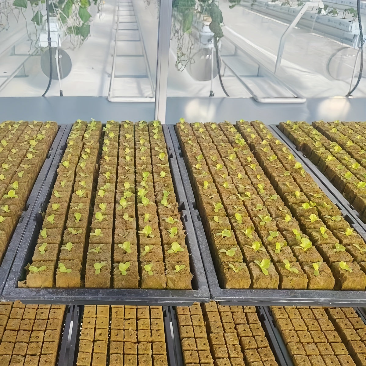 Planting Cubes for Agriculture Gardens and Fields Water Storage Soilless Cultivation