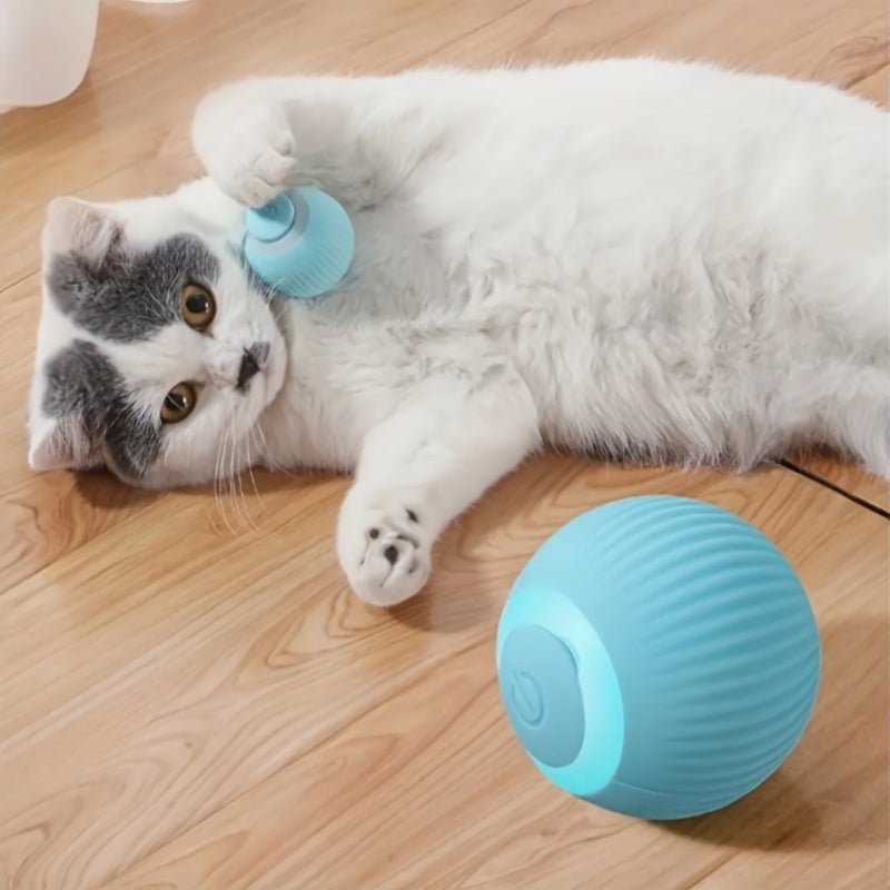 Rechargeable Electric Cat Ball Toy for Pets Interactive Silicone Durable Play