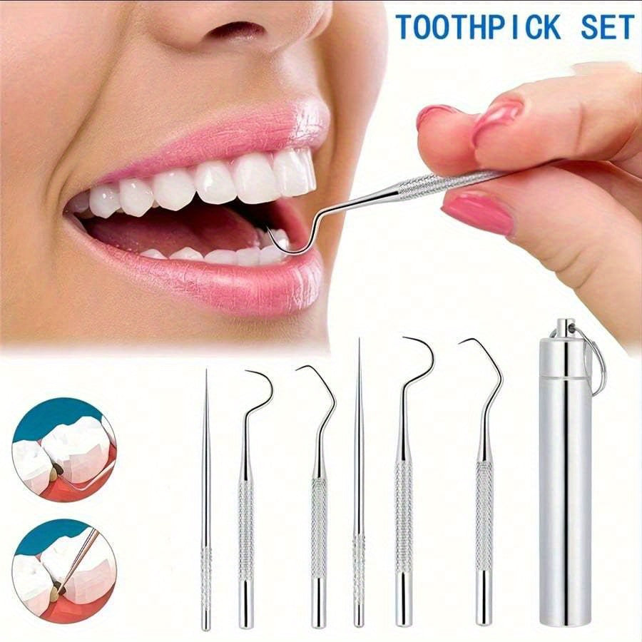 Set of 6 Stainless Steel Dental Care Tools with Toothpick and Floss Holder