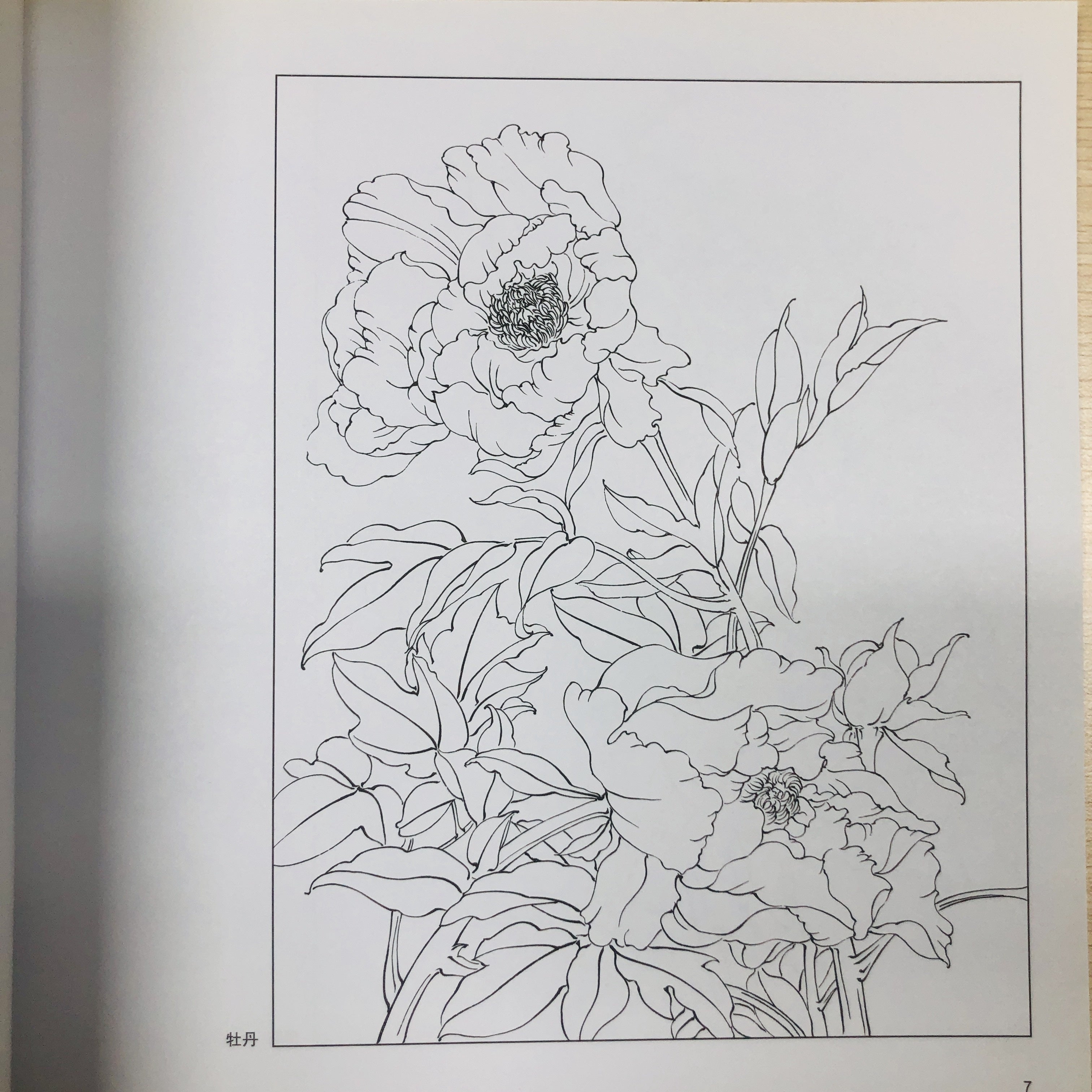 Chinese Painting Techniques Book for Beginners with Fresh Flowers Calligraphy Still Life Art Photography in Simplified Chinese