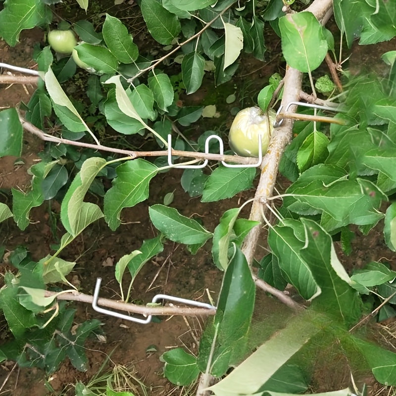 50-Donali metall meva daraxti shoxini egish va bog' bog' qilish uchun to'plam