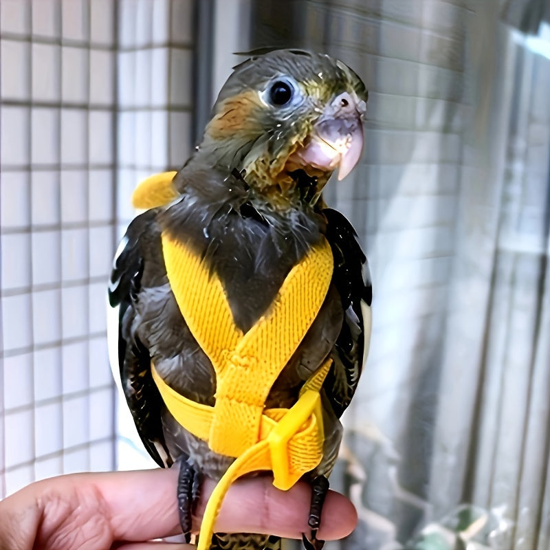 Adjustable Parrot Harness with Nylon Rope and 182.88cm Training Leash for Outdoor Flying