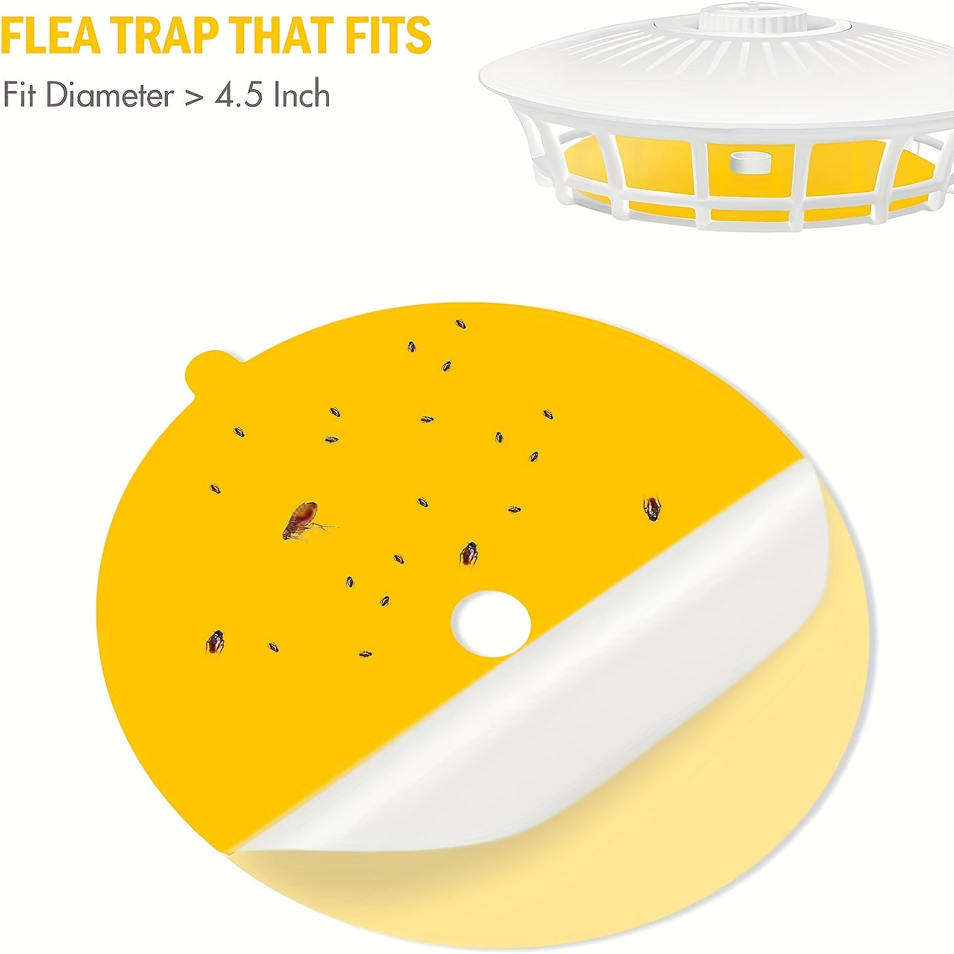 Flea Trap Refill Discs Sticky Glue Boards for Indoor Insect Control