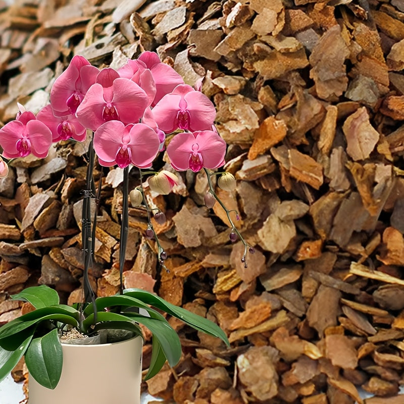 Pine Bark Orchid Growing Medium 1-3cm Breathable Moisture Retaining Wooden Material