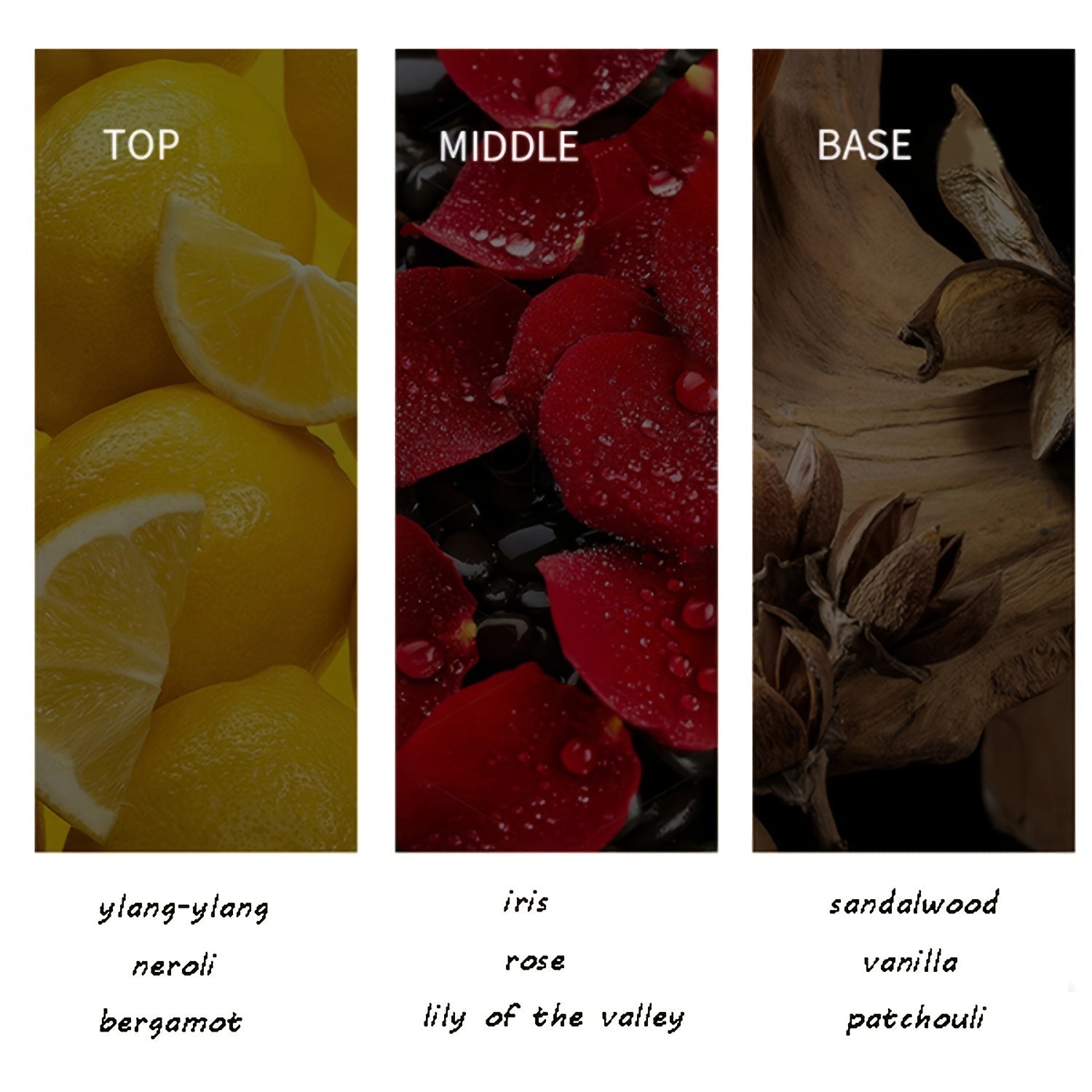 Men's 100ml Floral Scent Eau De Toilette Long-Lasting Fragrance for Daily Wear