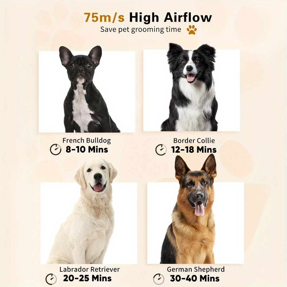 Aookupett Professional Dog Hair Dryer - O'zgaruvchan issiqlik va tezlik bilan yuqori quvvatli blowyer, aniq parvarishlash uchun 4 ta nozzle bilan birga.