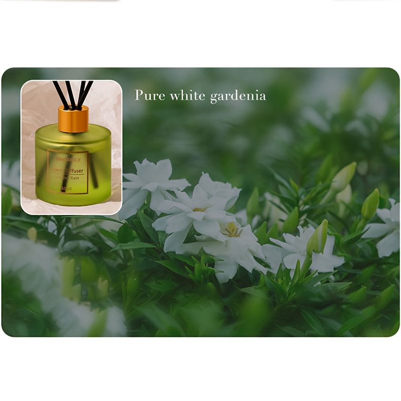 50ml Natural Plant Extract Flameless Reed Diffuser Long-Lasting Fragrance for Home Office