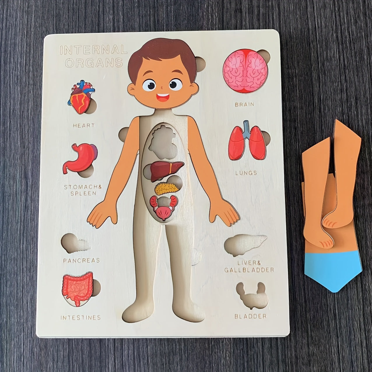 Children's Wooden Human Body Puzzle Educational Toy for Early Childhood Development