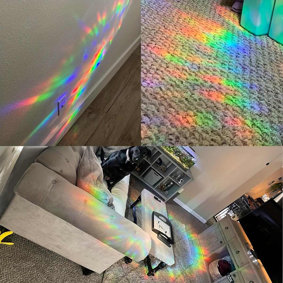 Set of 2 Rainbow Hummingbird Window Clings Decorative Bird Collision Stickers