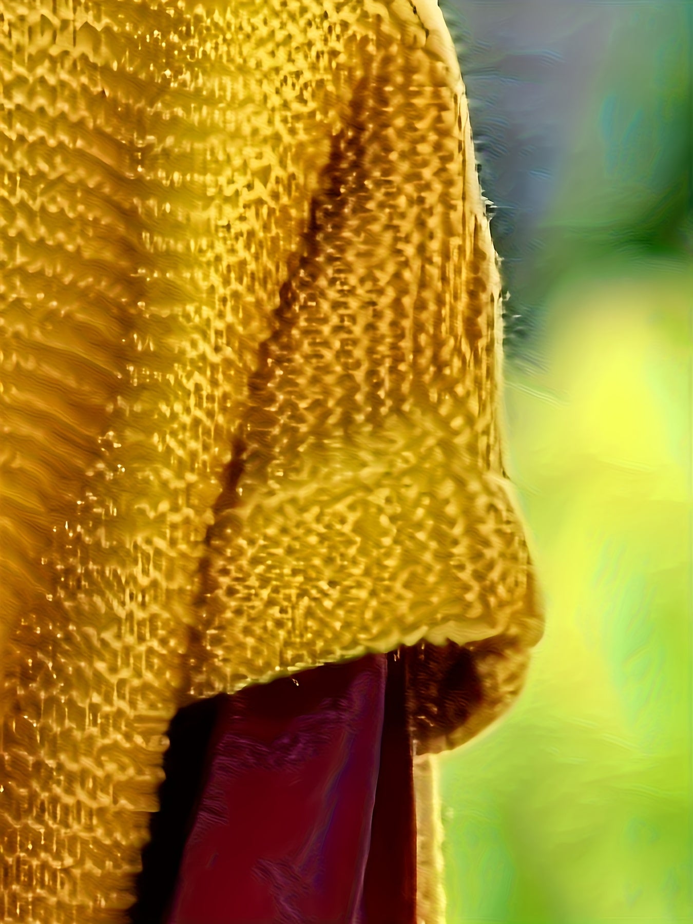 Plus Size Yellow Hooded Short Sleeve Cardigan Soft Fabric Casual Seasonal