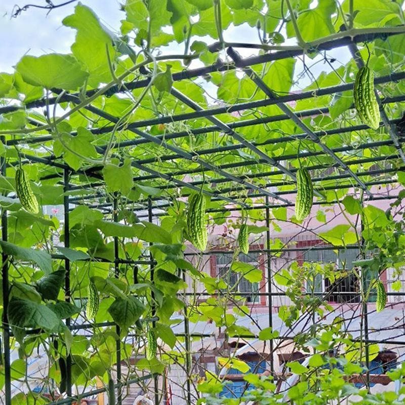 10 Durable Coated Steel Garden Plant Support Stakes for Climbing Vines Tomatoes Cucumbers and Flower Stands