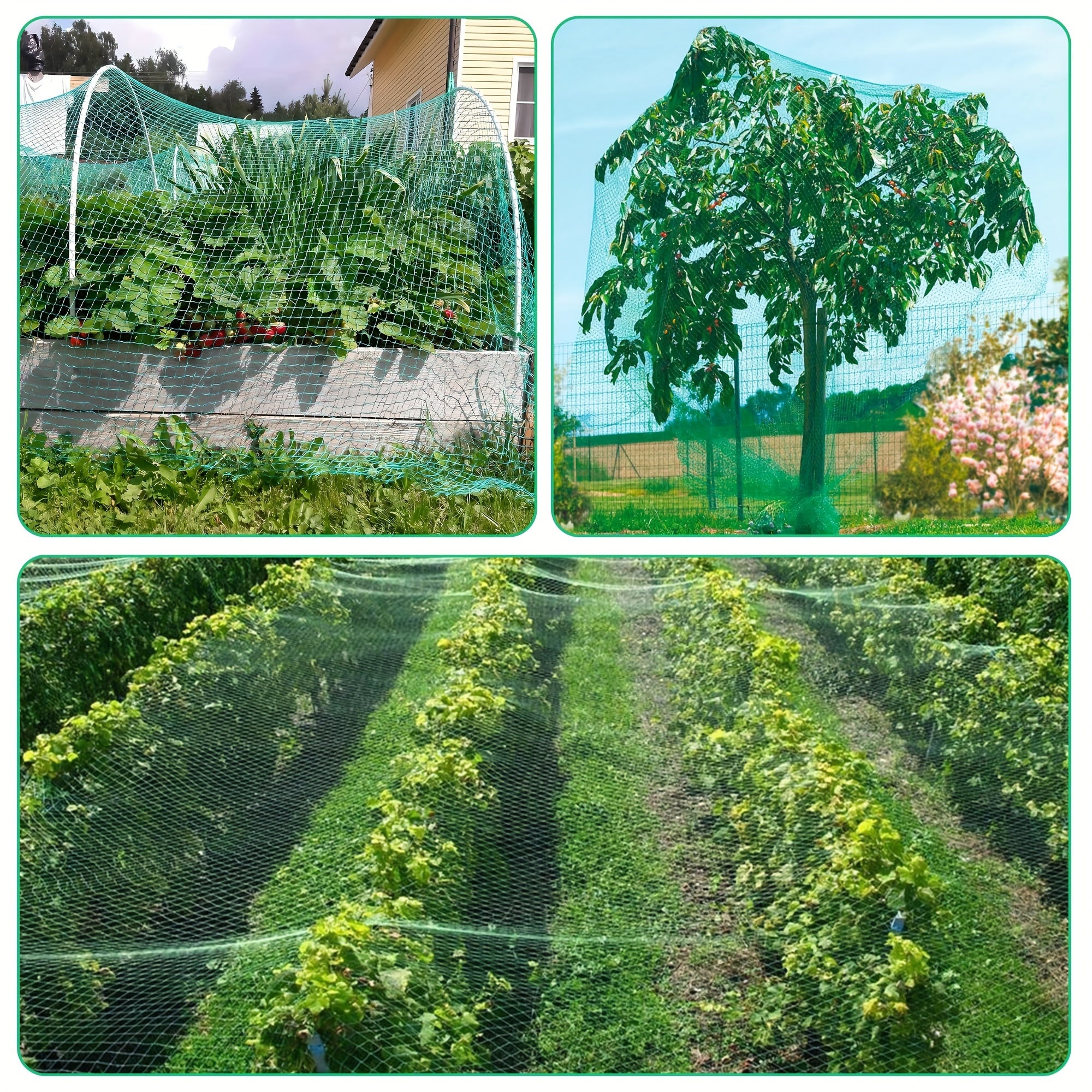 Garden Bird Net 2x8 Meters Green PVC Garden Fence Protects Fruits Vegetables Squirrels Deer