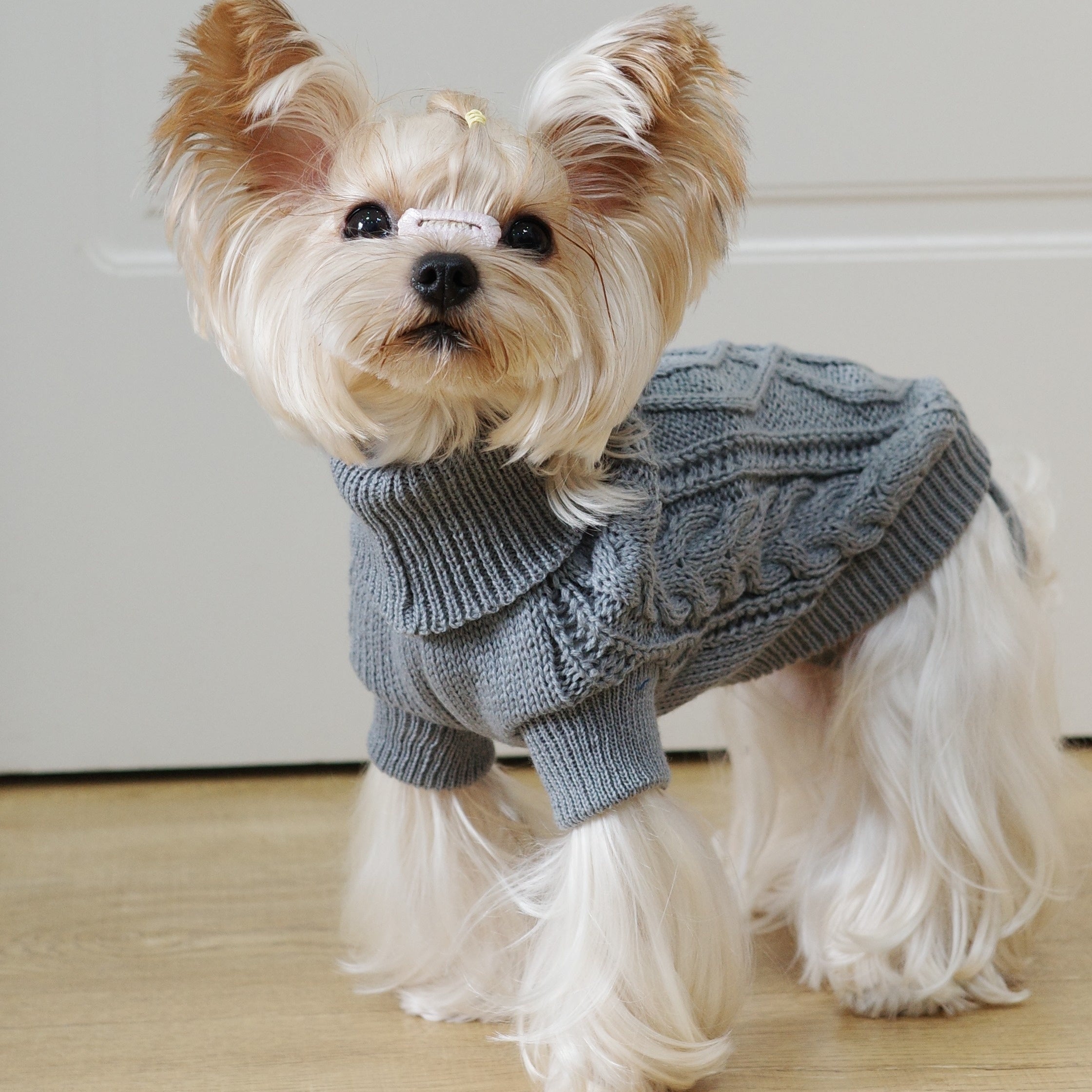 Knit Dog Hoodie with Floral Design All-Season Pullover for Small to Large Breeds