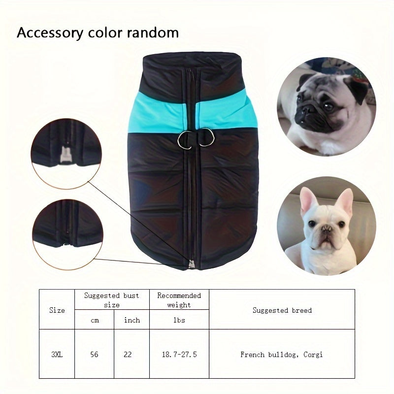 Windproof Winter Dog Jacket for Medium Breeds Polyester Zippered Warm Outdoor Apparel