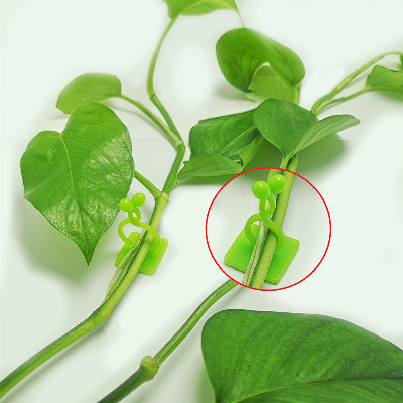 Self-Adhesive Plant Climbing Wall Fasteners Set of 10 or 30 White Garden Vines Support