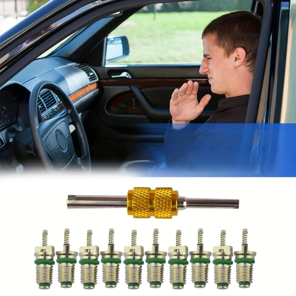 Automotive Air Conditioner Maintenance Kit with 10 Brass Green Valve Cores