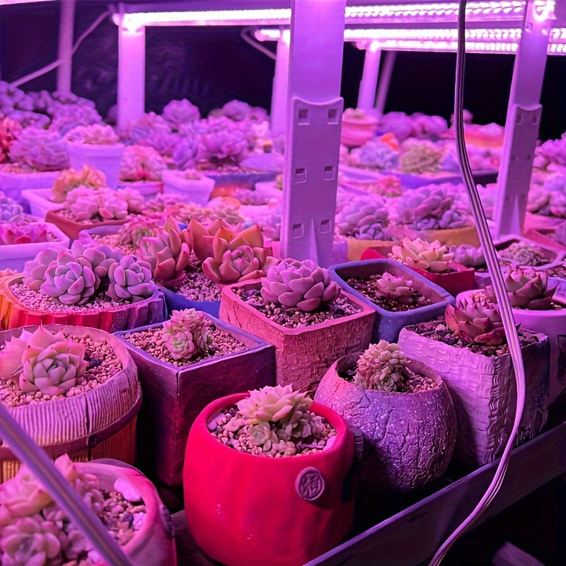 USB quvvatlangan LED o'simlik o'sish chiroq lentasi sukulentlar, gullar va ko'chatlar uchun ideal. Issiqxonalarga, gidroponikaga va ichki bog'dorchilikka mos keladi. Suvga chidamli emas.