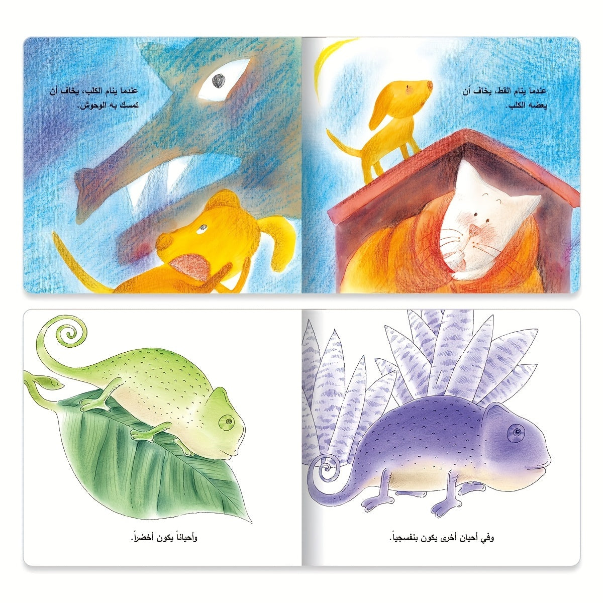 Arabic Children's Short Story Picture Book Set for Ages 3+