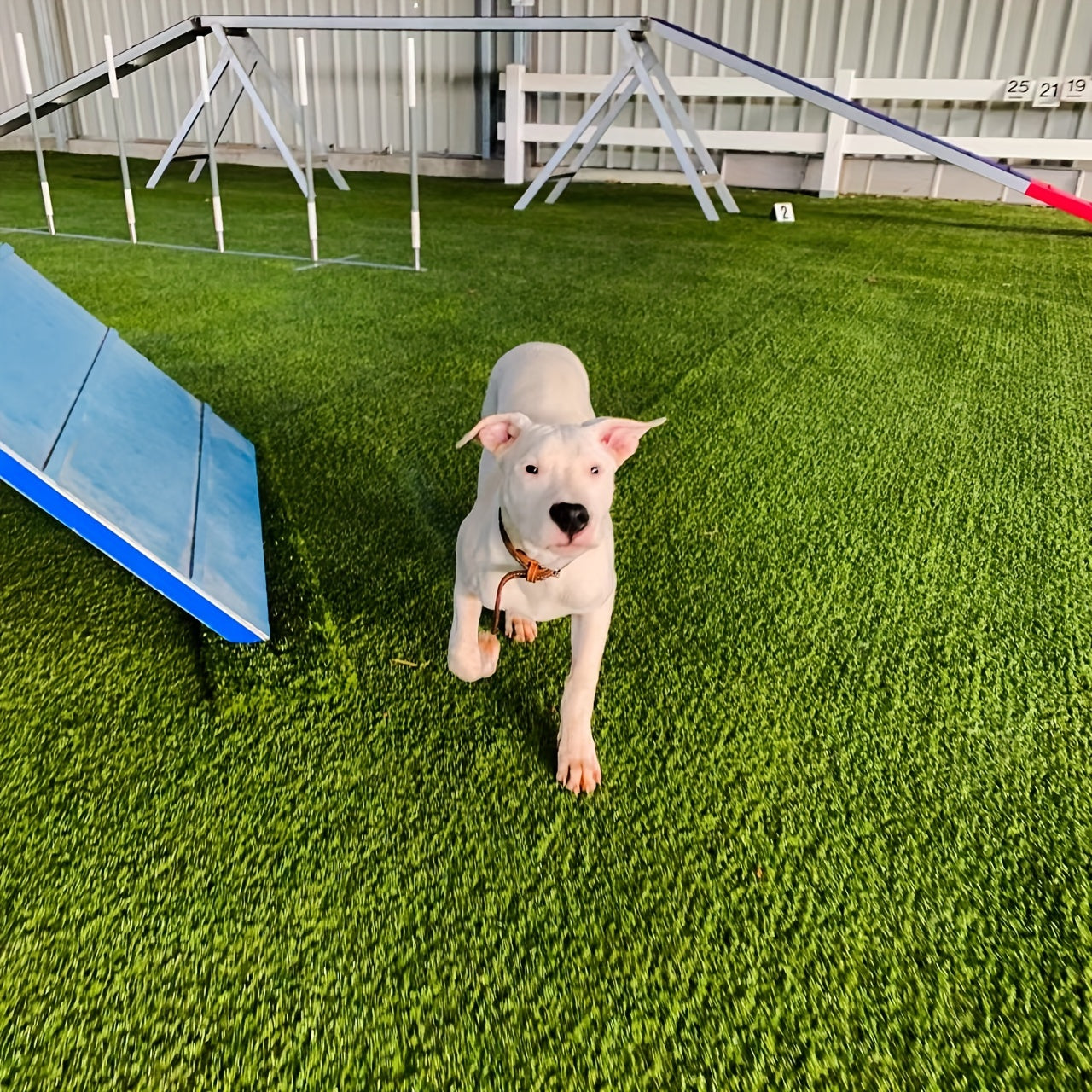 Artificial Grass for Lawn Decoration Playground Pet Training Outdoor Patio 78x38 Inches