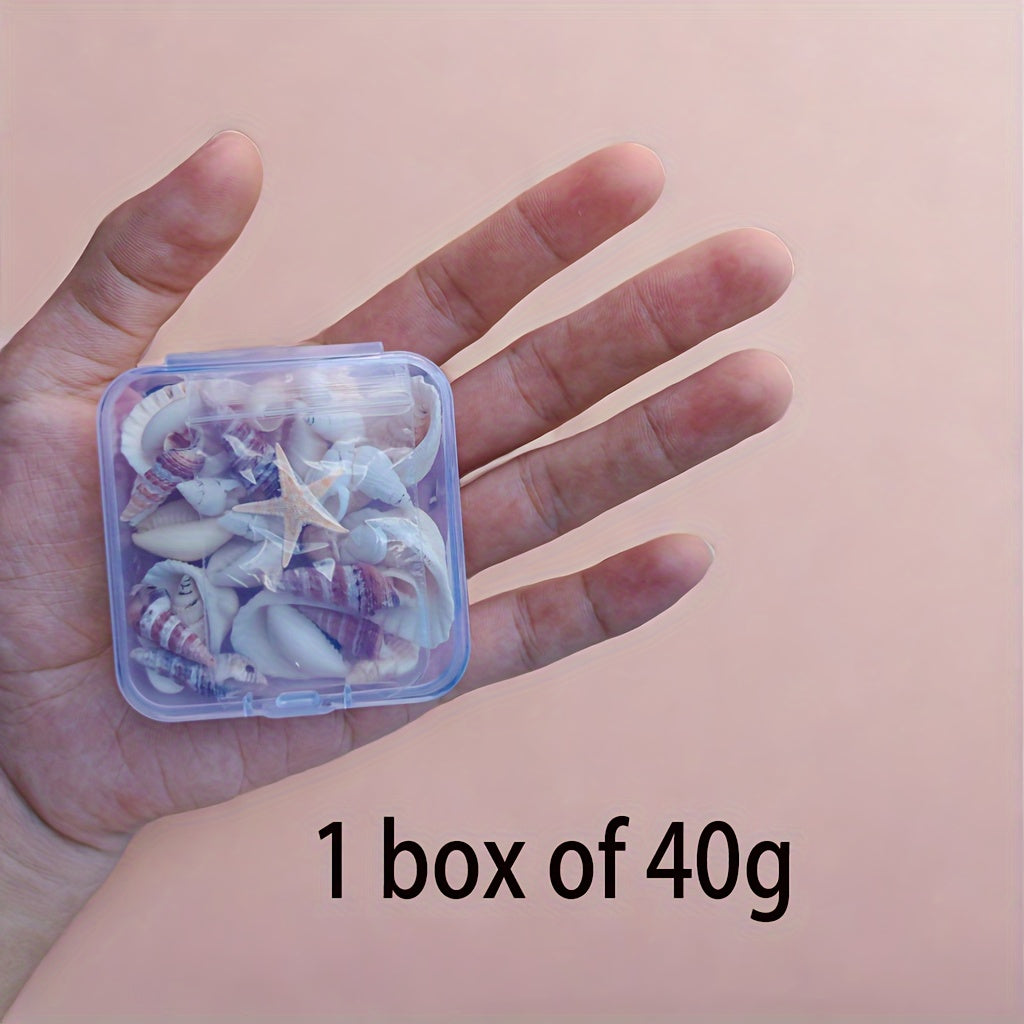 Seashell and Conch Mix for Aquarium Decor Fish Tank Ornaments Crafts